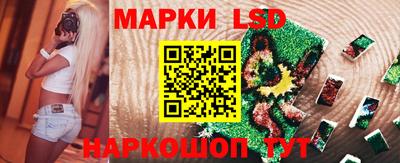 spice Вязники