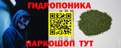 spice Вязники