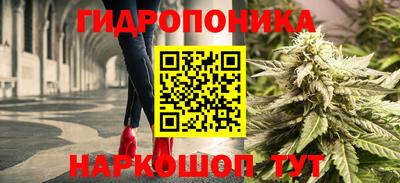 spice Вязники